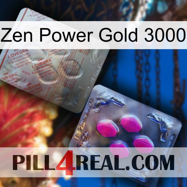 Zen Power Gold 3000 38